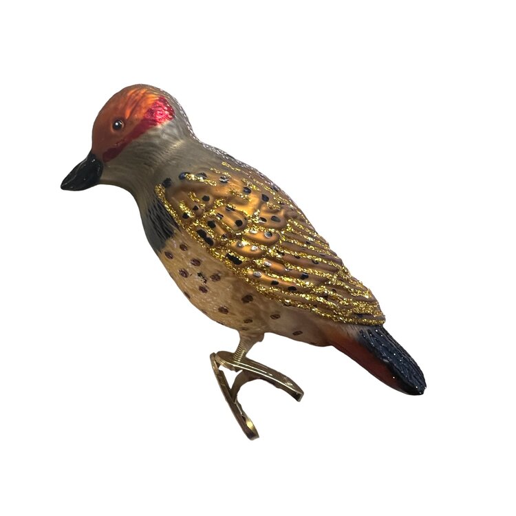 Christmas Ornament Northern Flicker