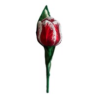 Botanisch Model Tulp Glas Rood-Wit