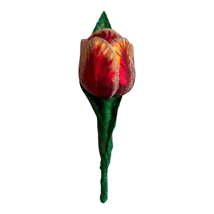 Botanisch Model Tulp Glas Rood-Geel
