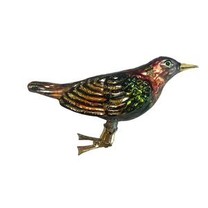 Vogelclip Spreeuw
