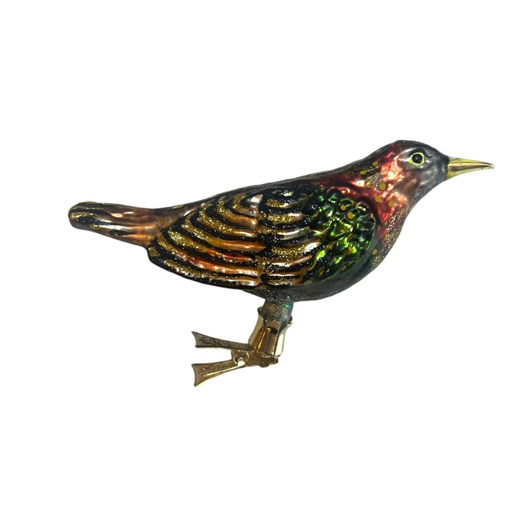 Christmas Ornament Starling