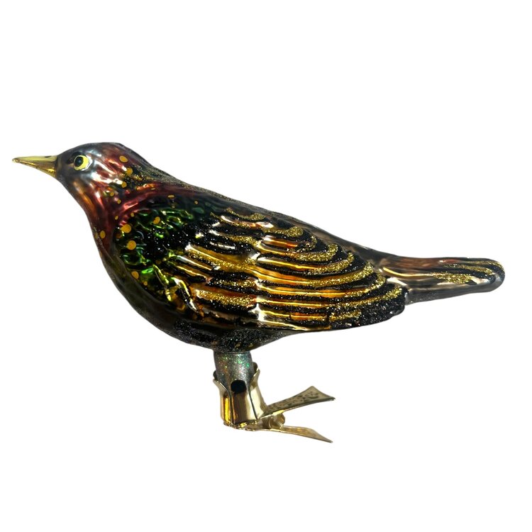 Vogelclip Spreeuw