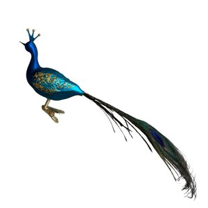 Vogelclip Trotse Pauw