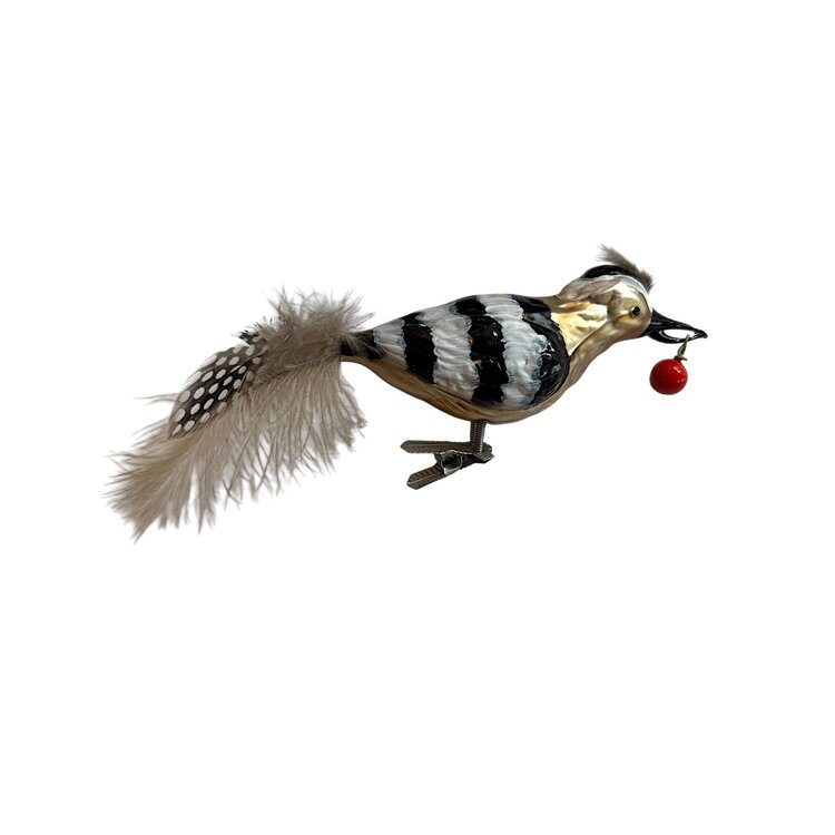 Vogelclip Hop met Besje