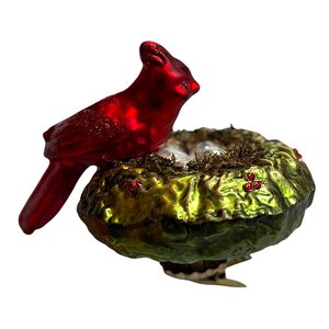 Vogelclip Vogel op Nest