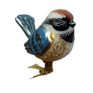 Vogelclip Blij Staartmeesje