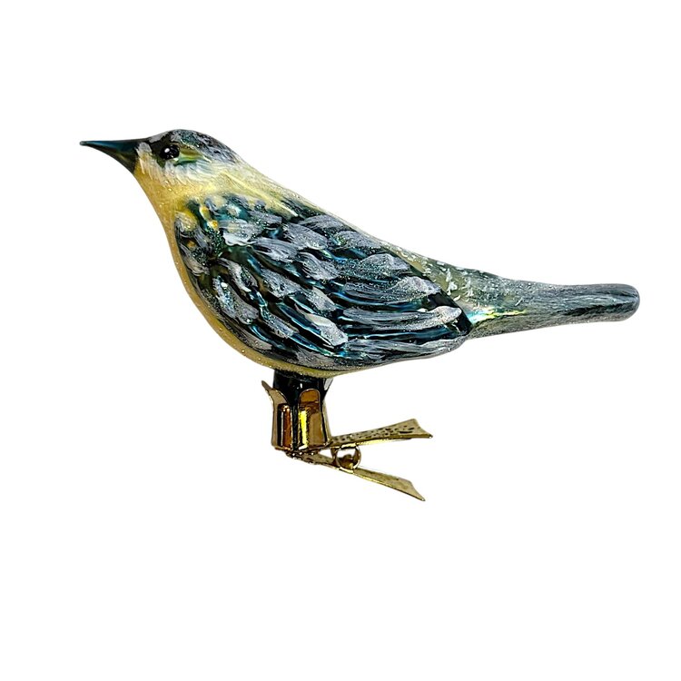 Christmas Ornament Thrush Bird