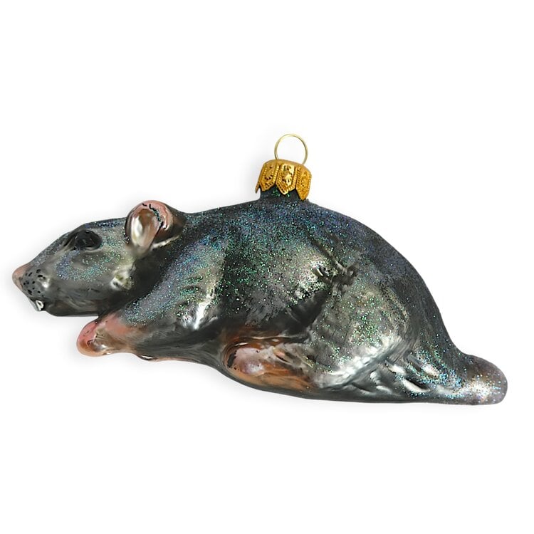 Kerstbal Rat
