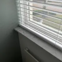 Custom photo 2 Custom photo 2