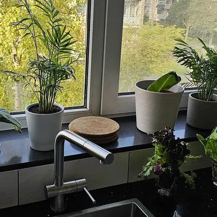 Fensterbank innen - Marmorkomposit poliert - Blaustein Optik (dunkel) - 2 cm stark - Innenfensterbänke (Fenstersims) Kunststein / Komposit - Agglo Marmor / Gussmarmor - Nach Maß