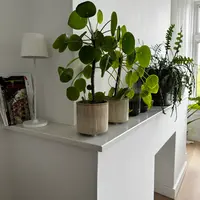 Custom photo 2