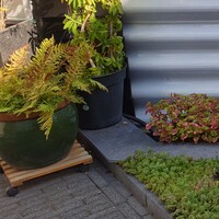 Custom photo 3 Custom photo 3