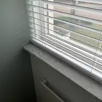 Custom photo 4 Custom photo 4