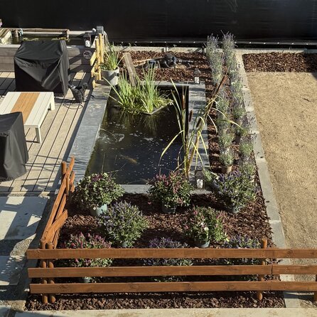 Türschwelle außen -  FLACH - Belgischer Blaustein - leicht geschliffen - 2 cm stark - Schwelle Außentür / Haustür / Eingangstür - Naturstein - Nach Maß