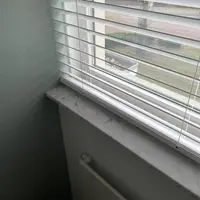 Custom photo 2