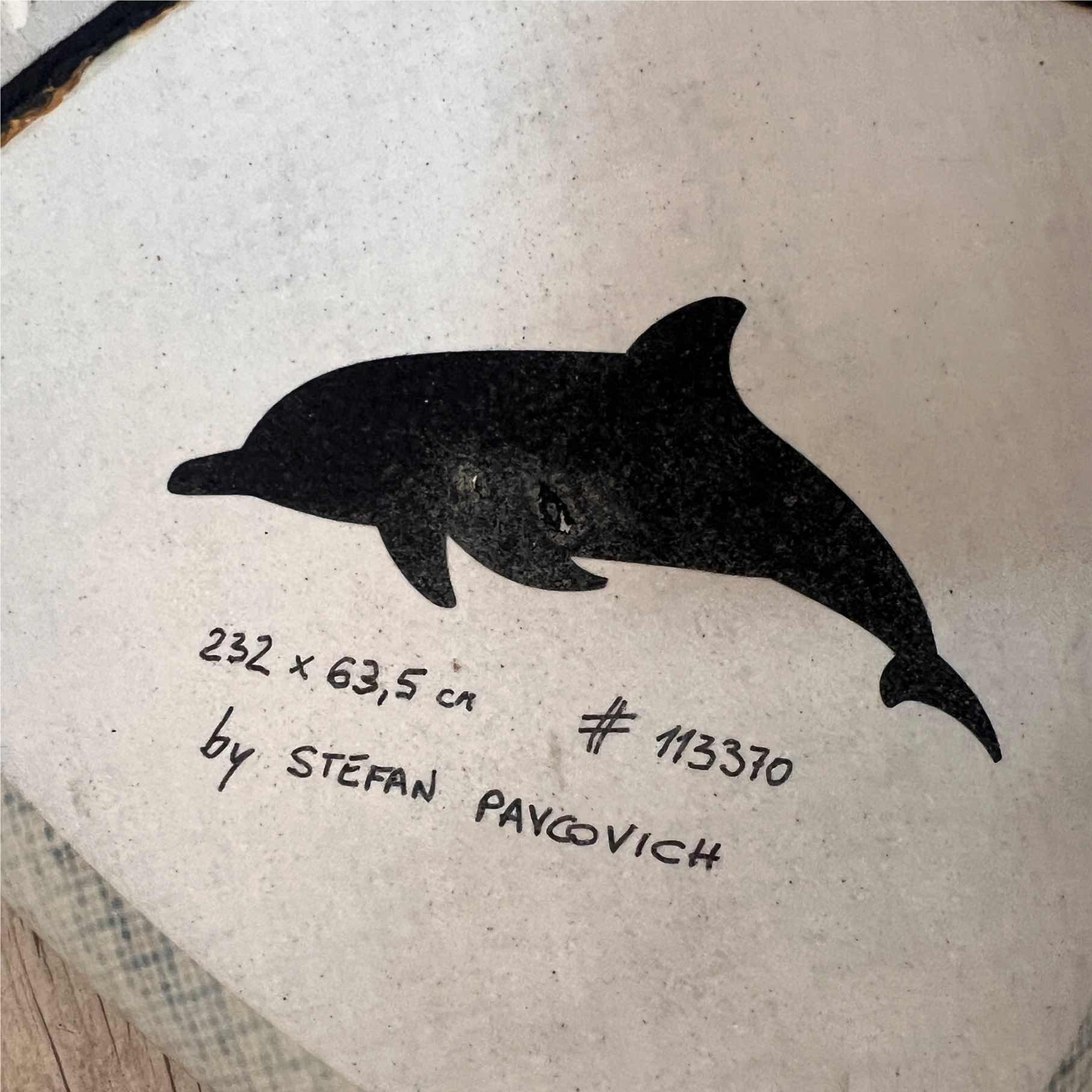 Pavcovich Wave Thruster 99L