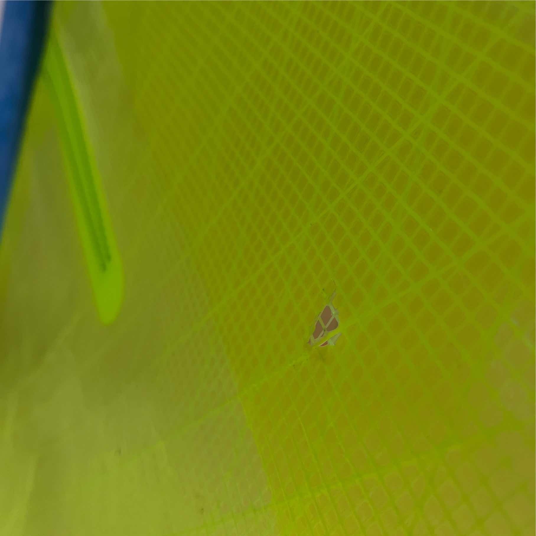 Goya Goya Banzai  Pro 4.2 2022/23