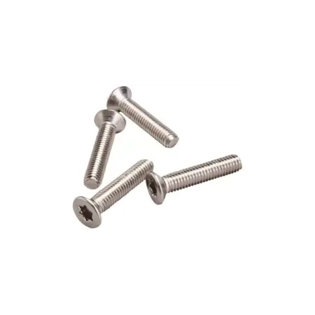 F-One M6-30mm tapered head screws (T30 torx) x4