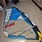 Naish Force Five 5.3 2016