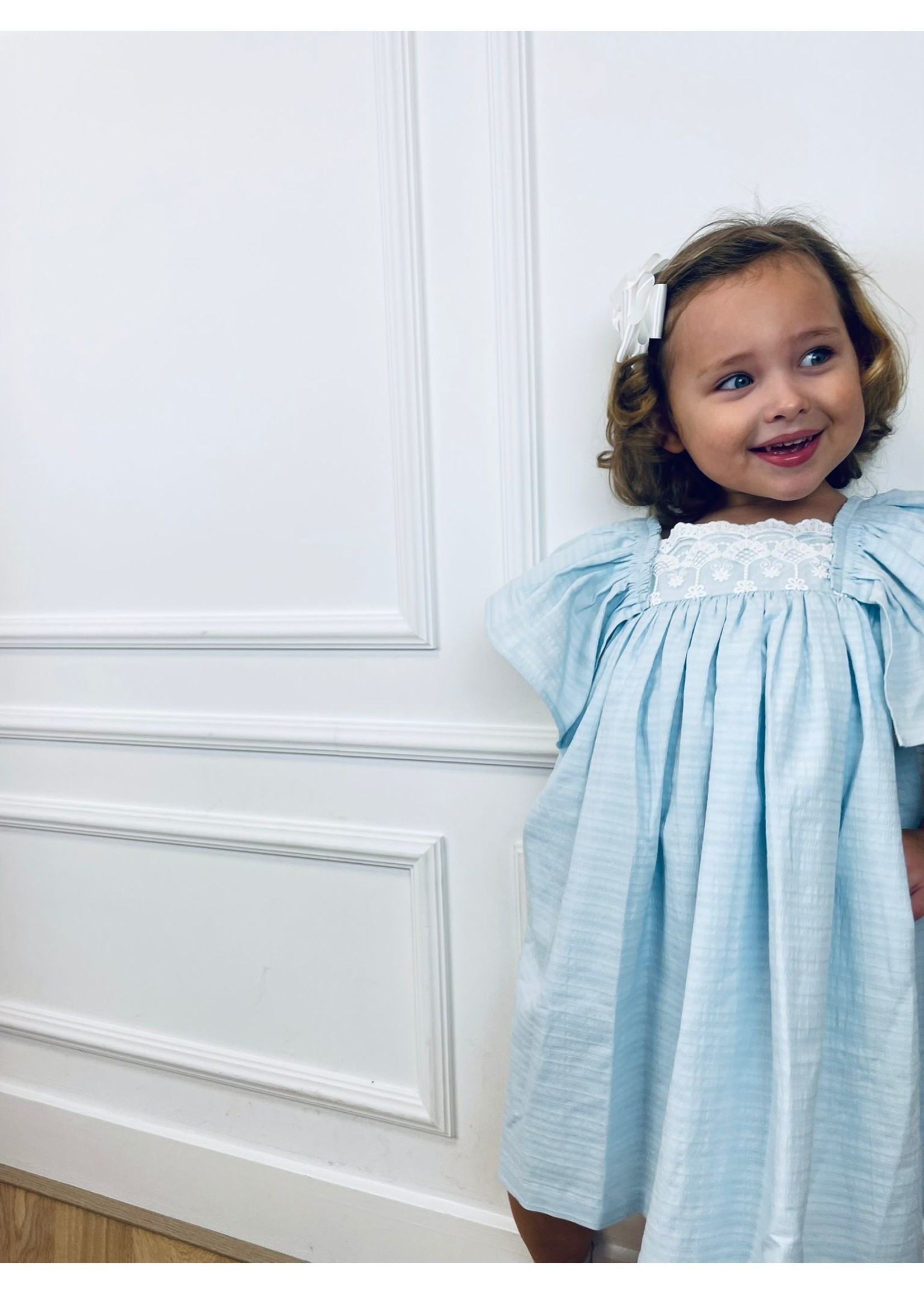 Petite Zara Dress Baby Blue - Petite Zara