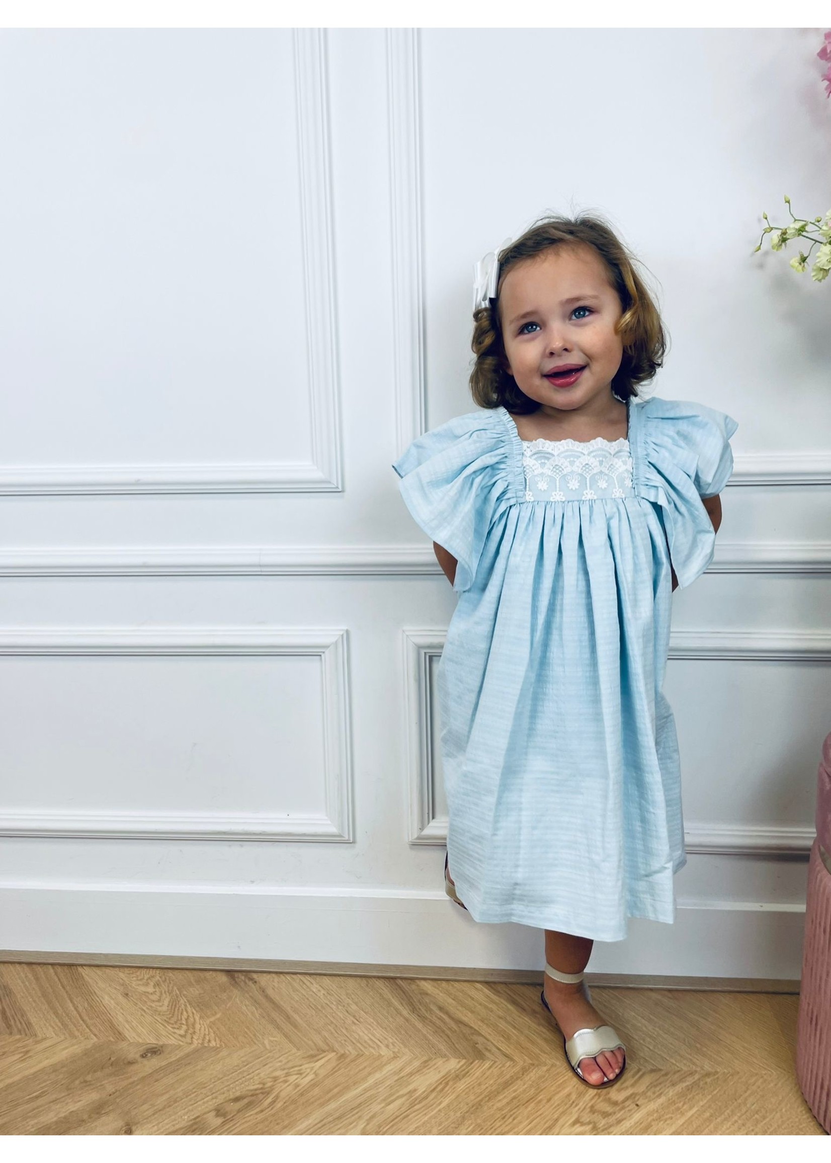 Petite Zara Dress Baby Blue - Petite Zara