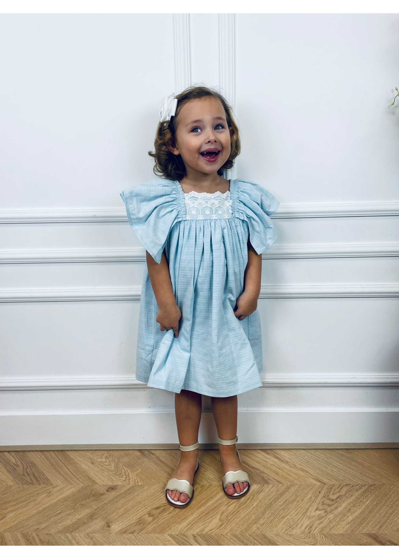 Petite Zara Dress Baby Blue - Petite Zara