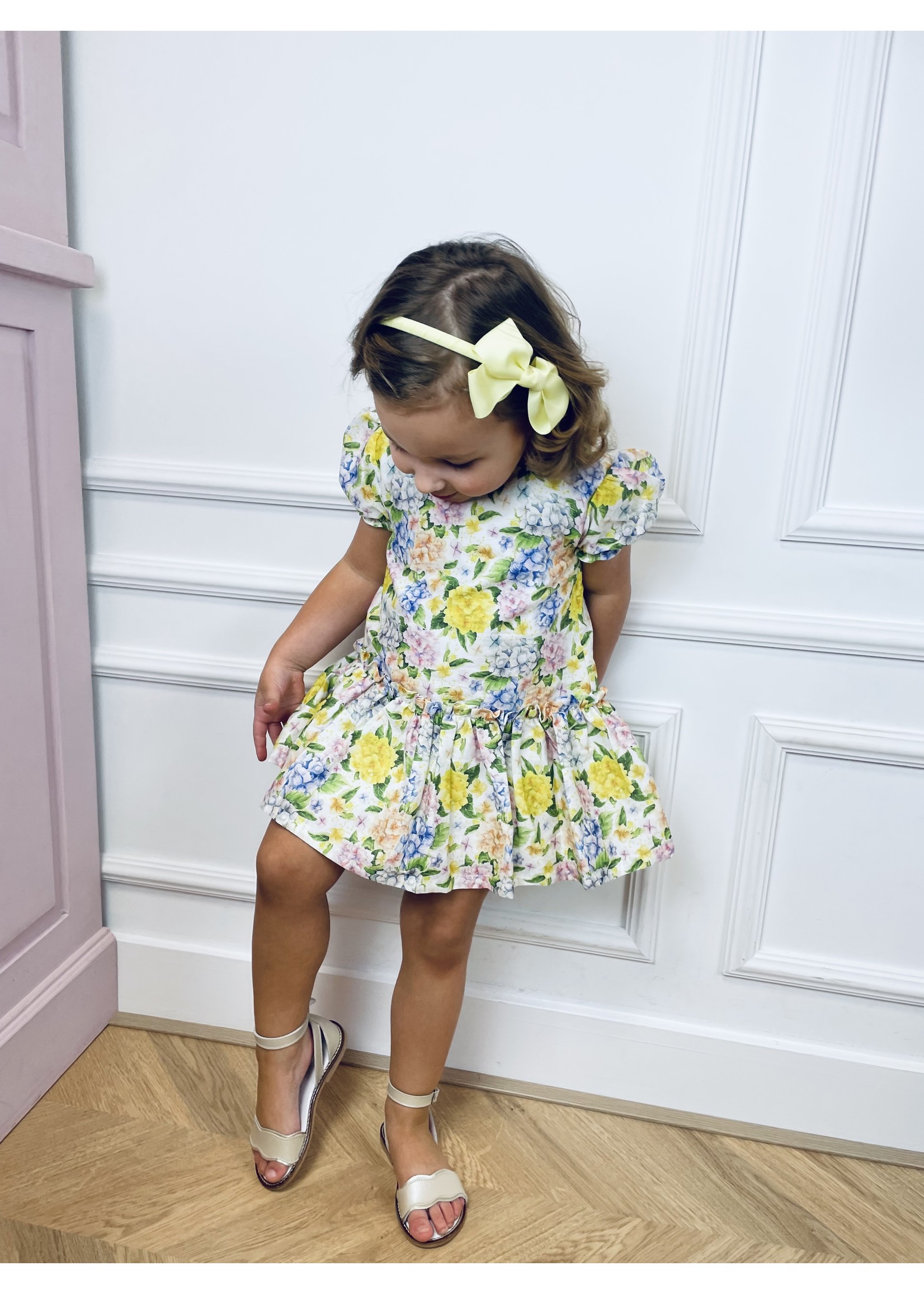 Petite Zara Dress Jasmine - Petite Zara 5Y