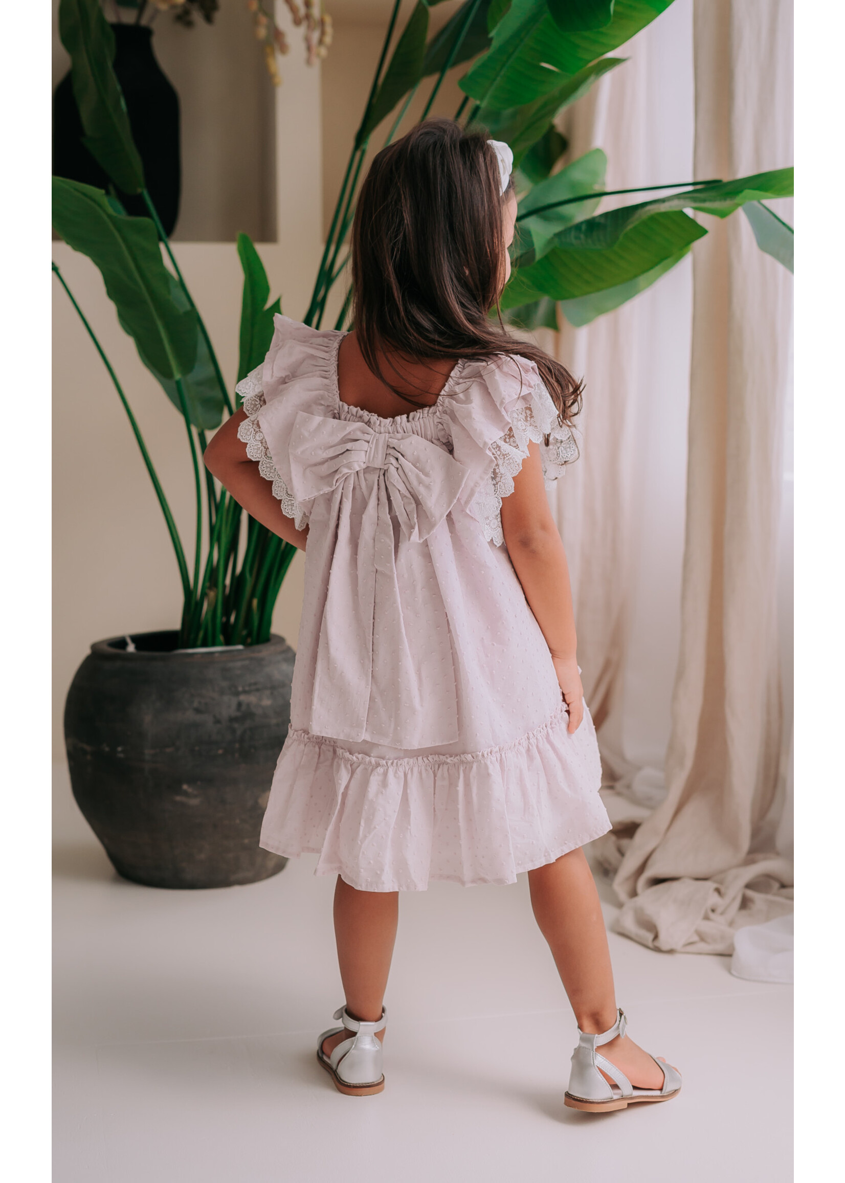 Petite Zara Lilac Plumeti Dress - Petite Zara