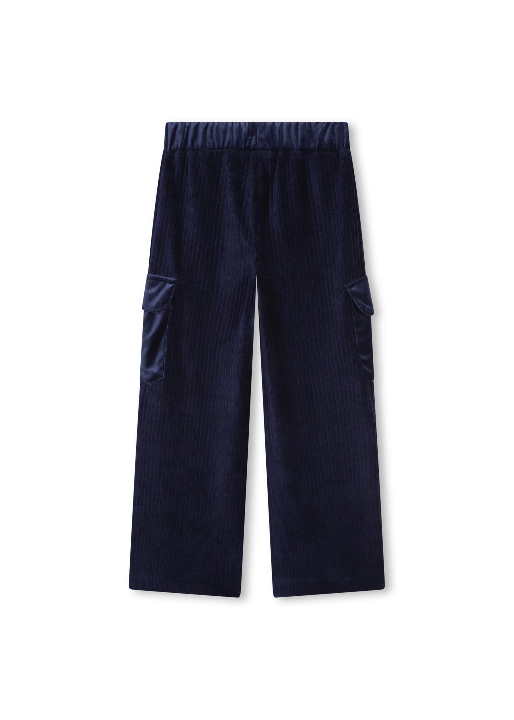 Billie Blush Velvet Navy Pants - Billie Blush