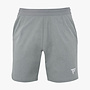 Tecnifibre Team Short - Zilver