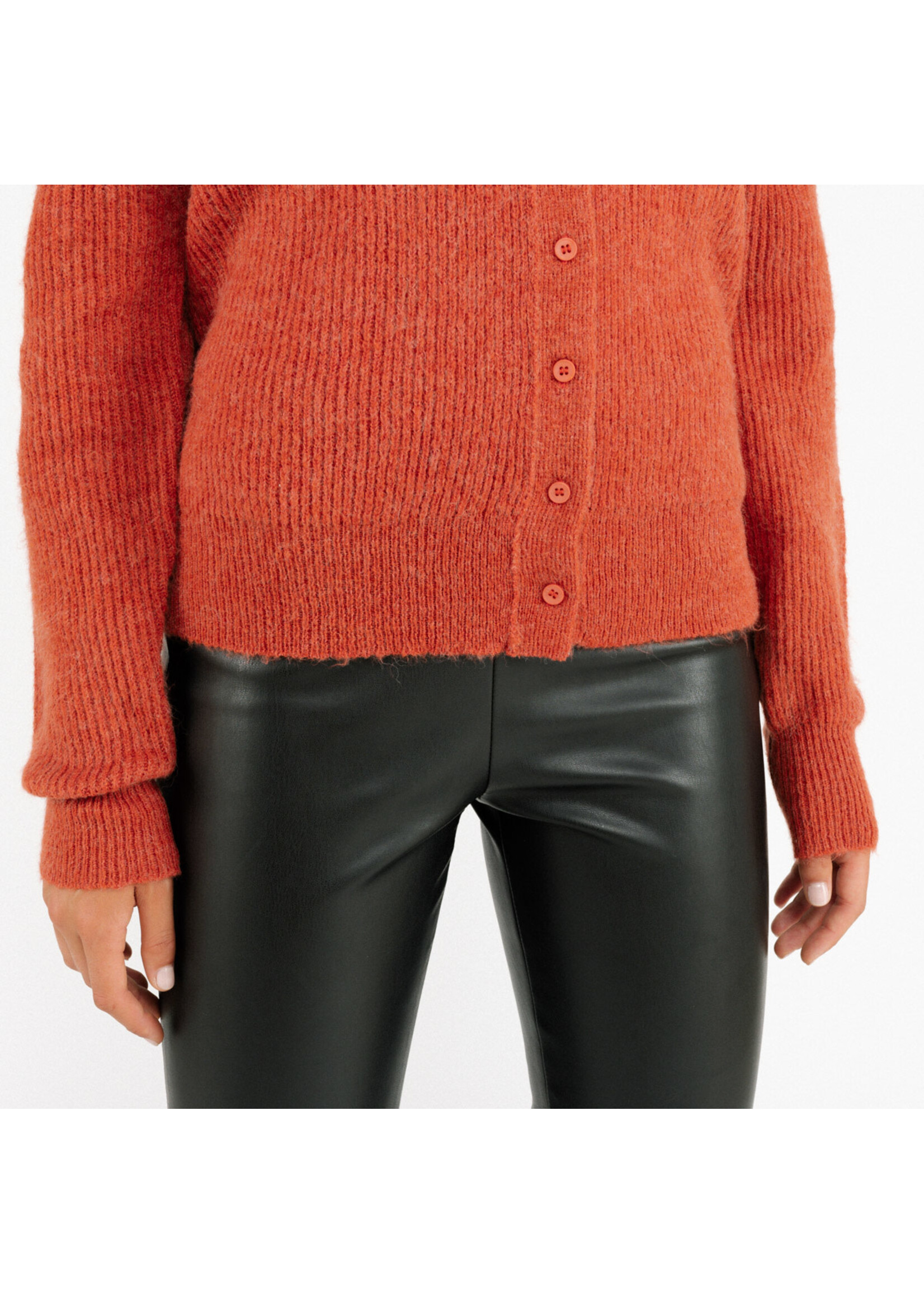 Cardigan Roest met fijne knopen