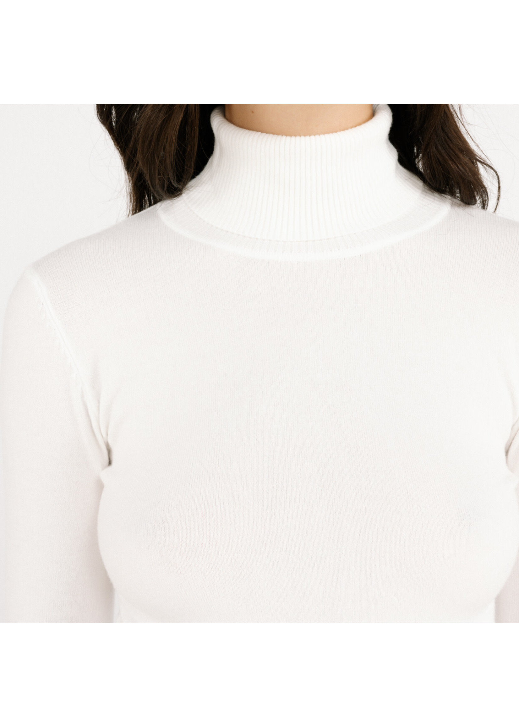 Turtle neck wit