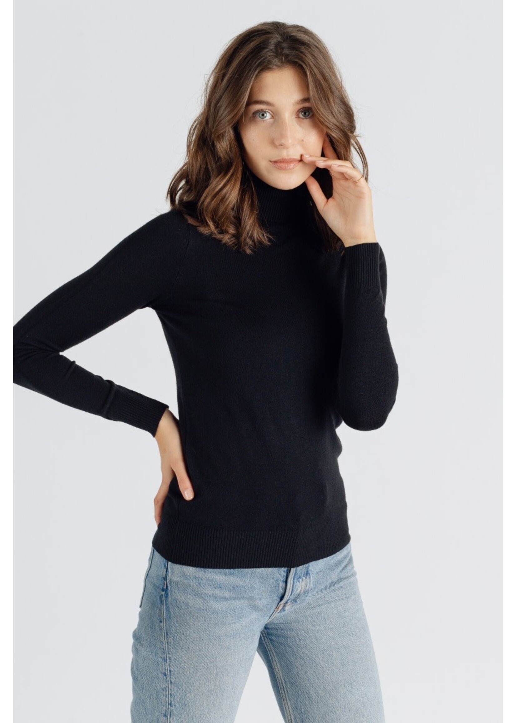 Turtle neck zwart
