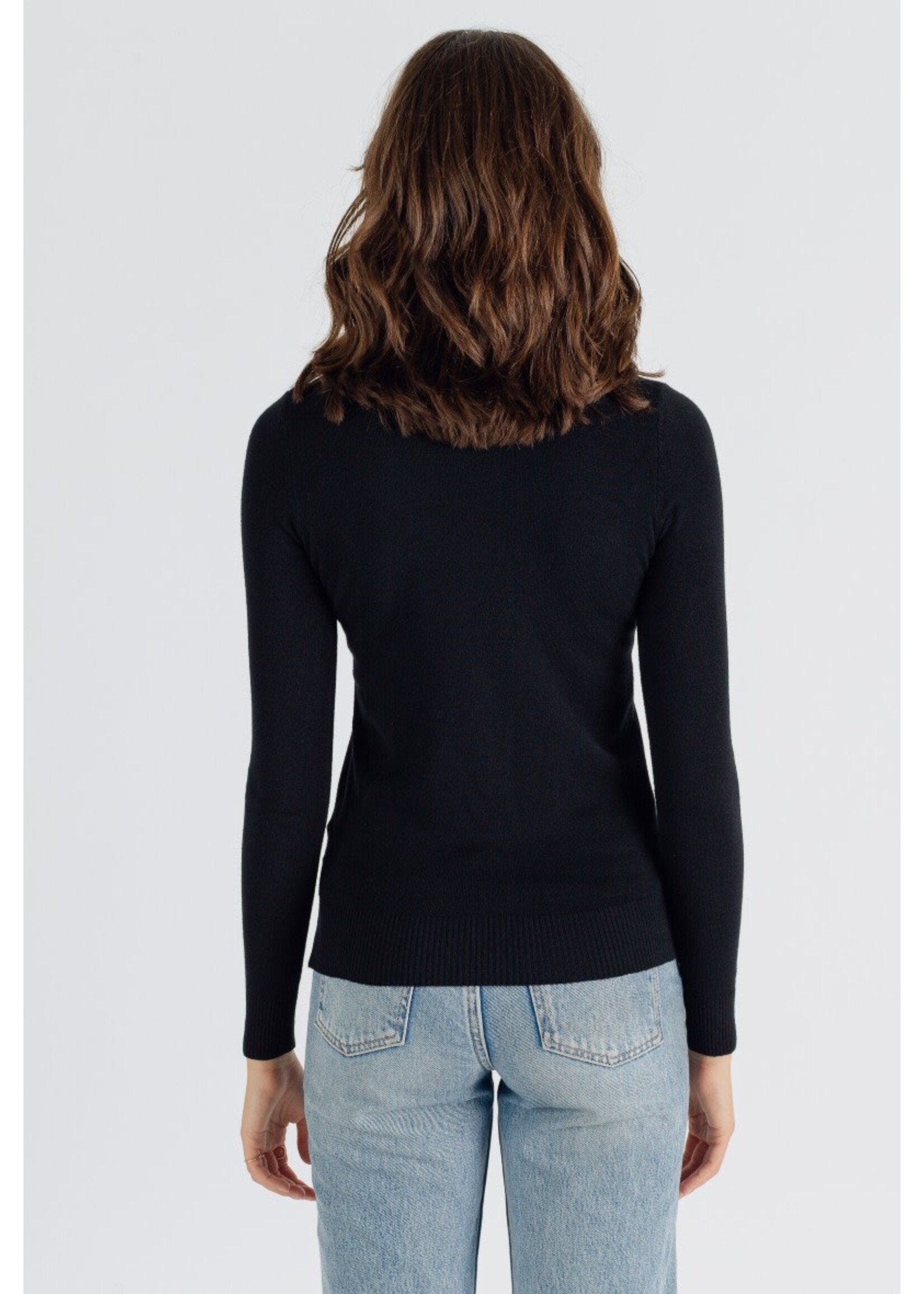 Turtle neck zwart