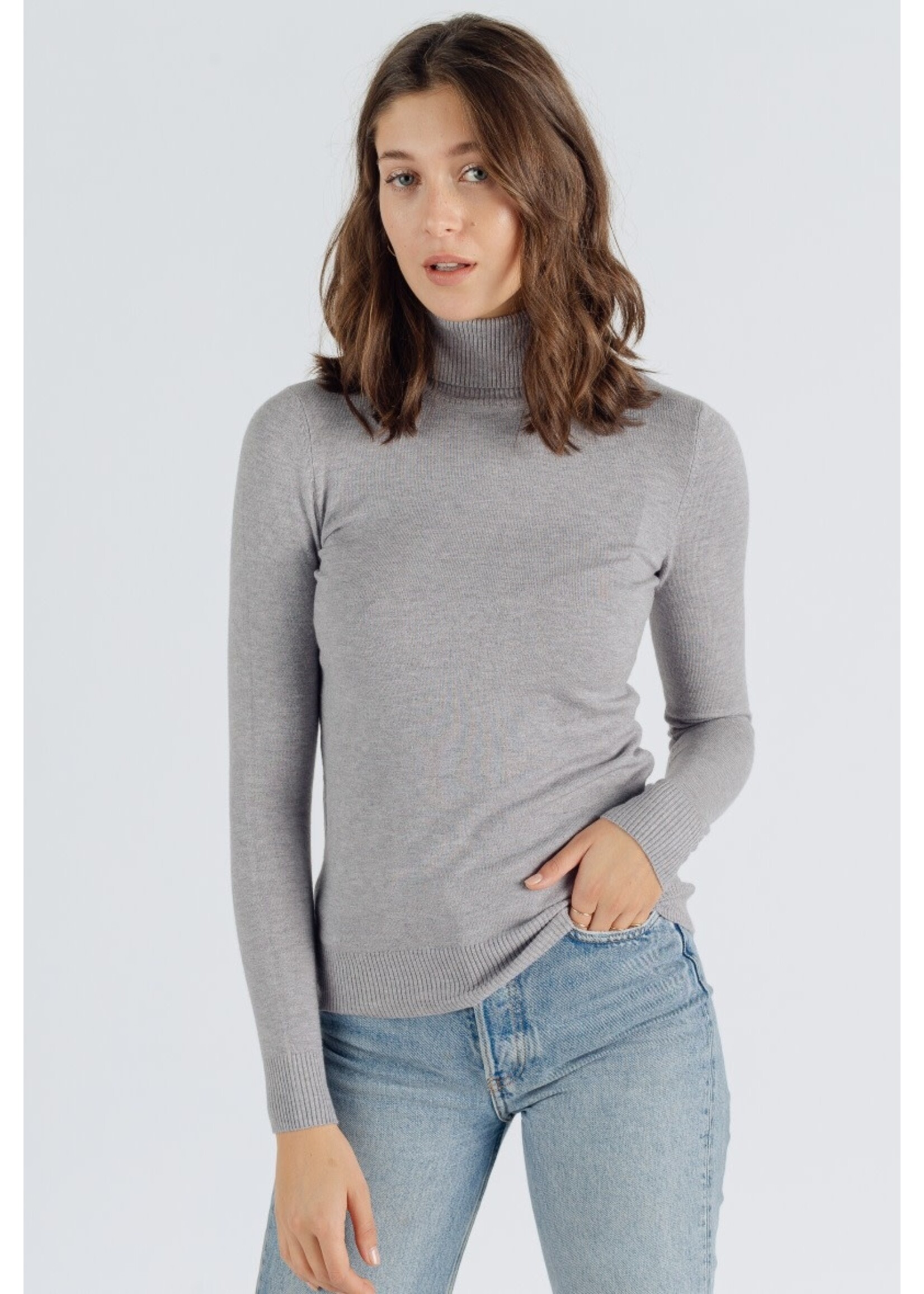 Turtle neck Grijs