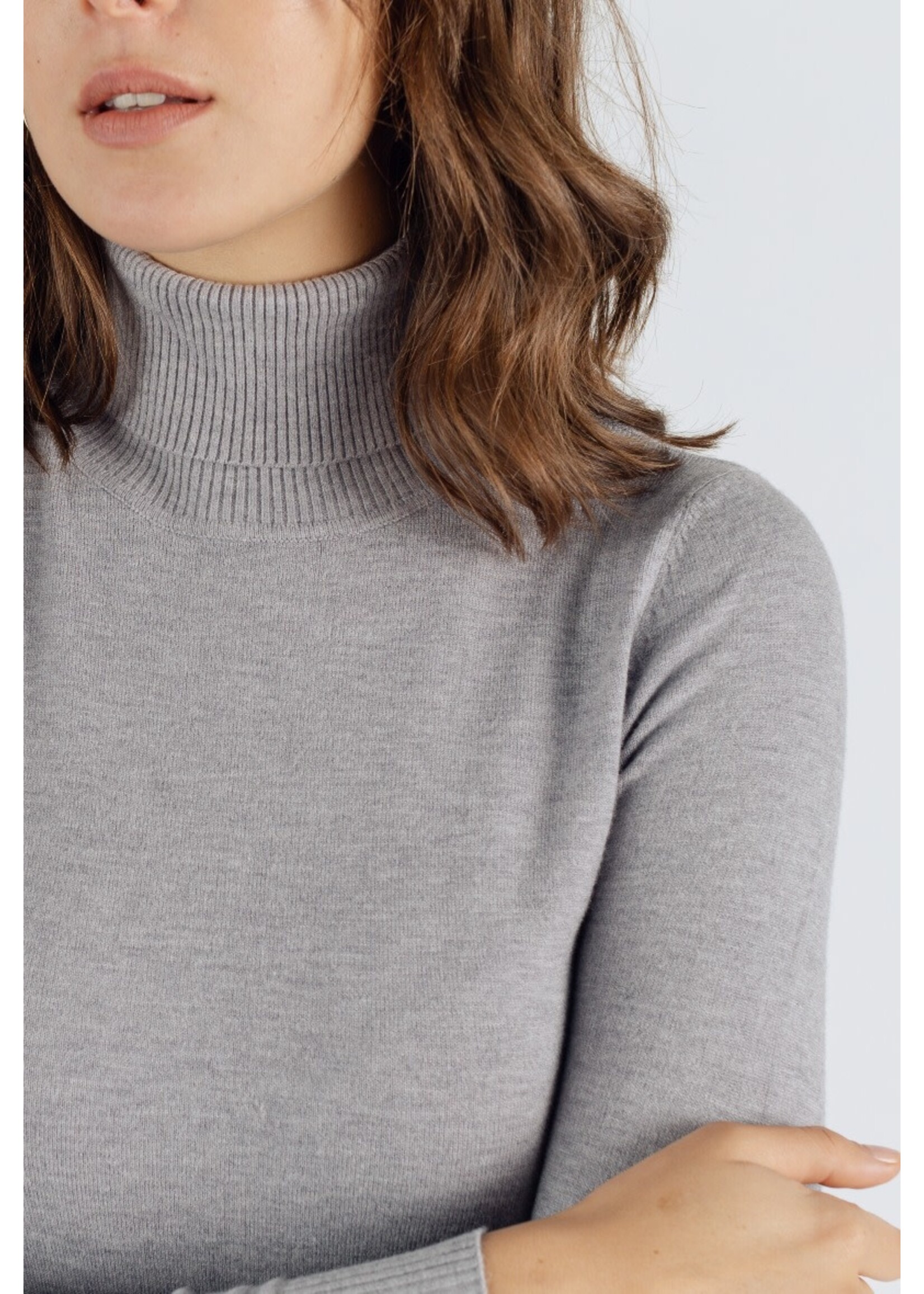 Turtle neck Grijs