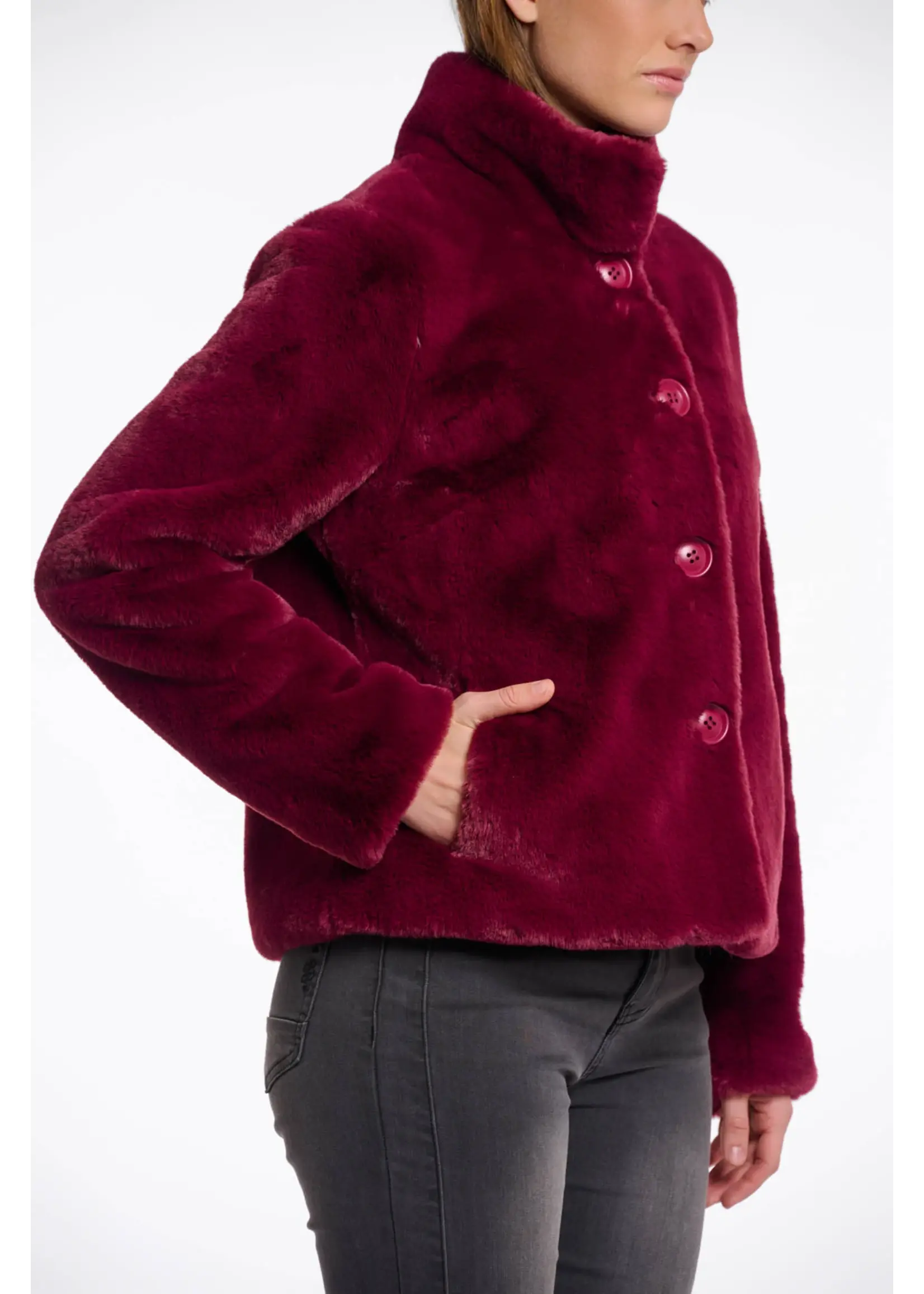 RINO & PELLE VIE JACKET 7002511 AUBERGINE