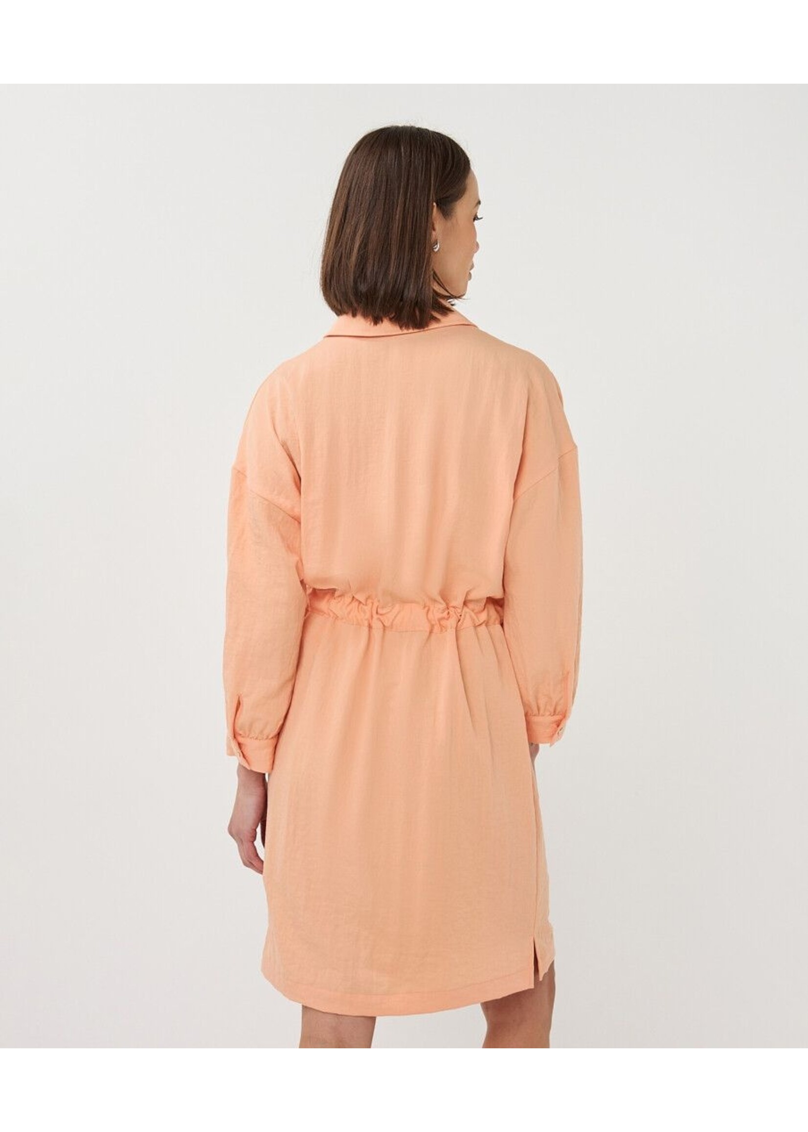 ESQUALO DRESS FINE CRINKLE BELLINI PS26.10036
