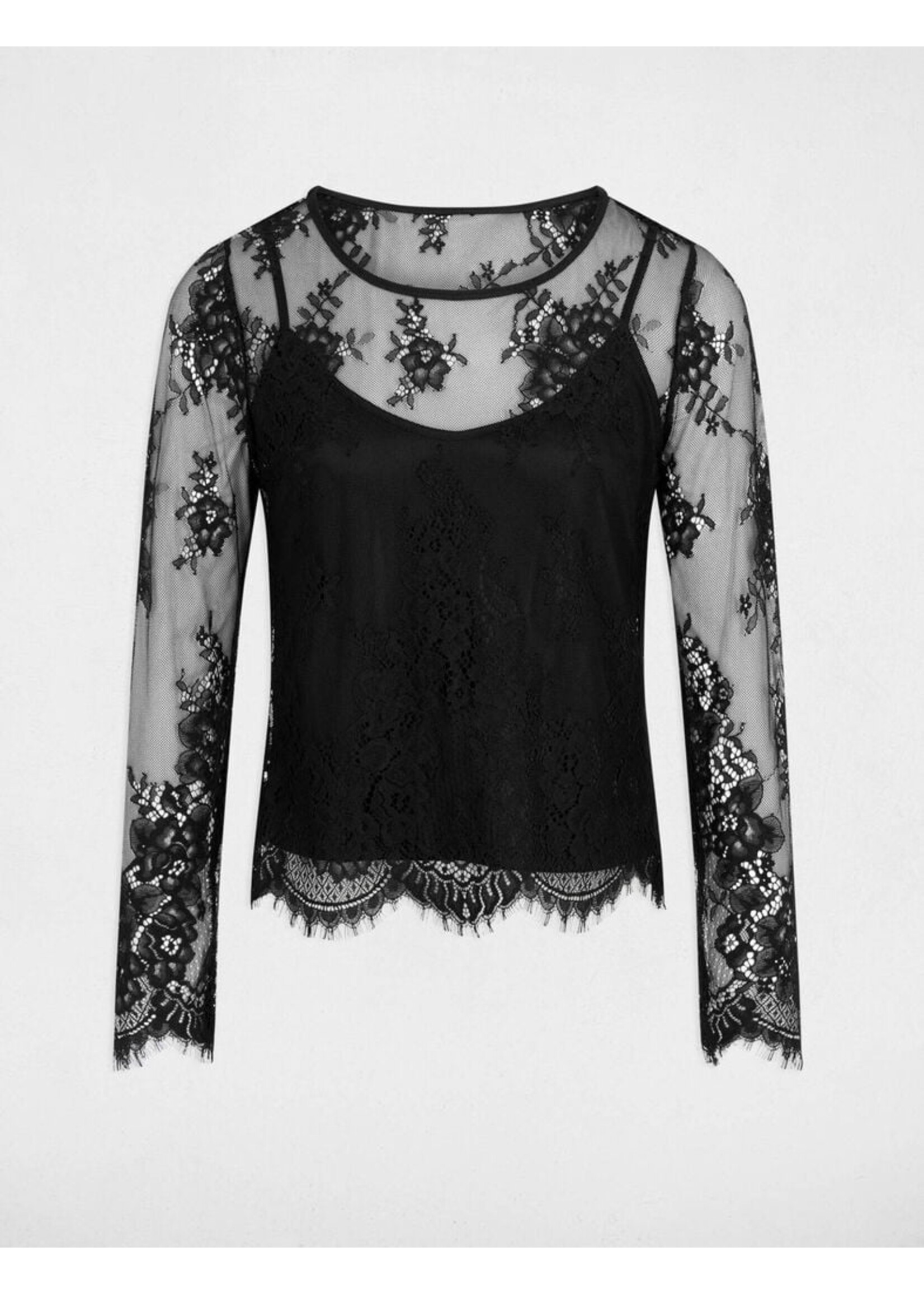 MORGAN LACE SHIRT TOP 261-TCITY