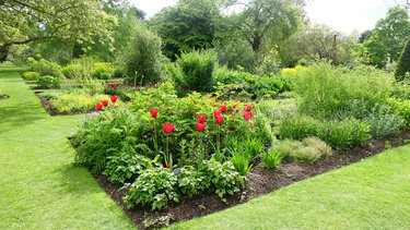 Vaste planten