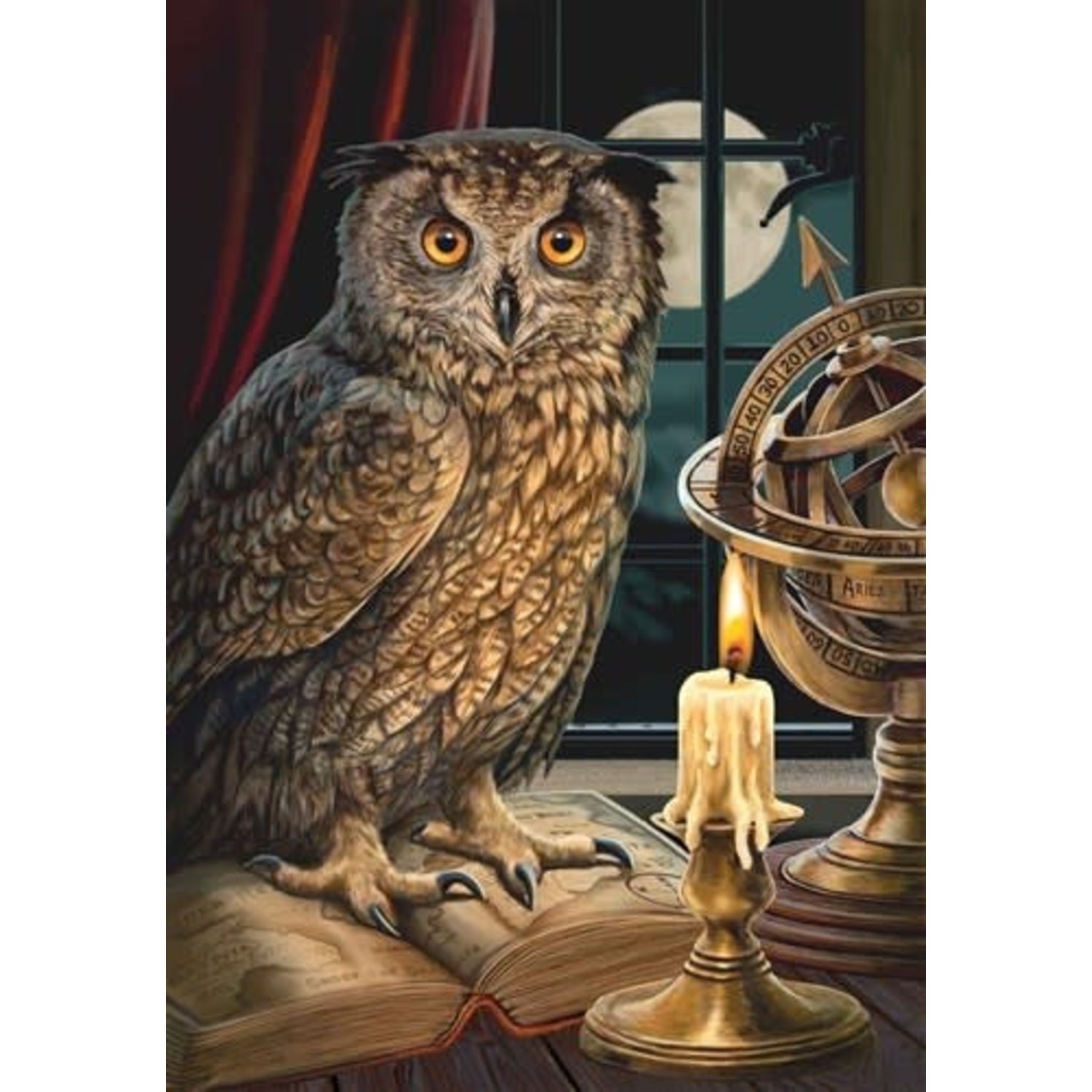 Craft Buddy The Astrologer Owl (full) 50 x 40 cm