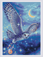 Riolis Diamond painting - Mosaic Magic Owl