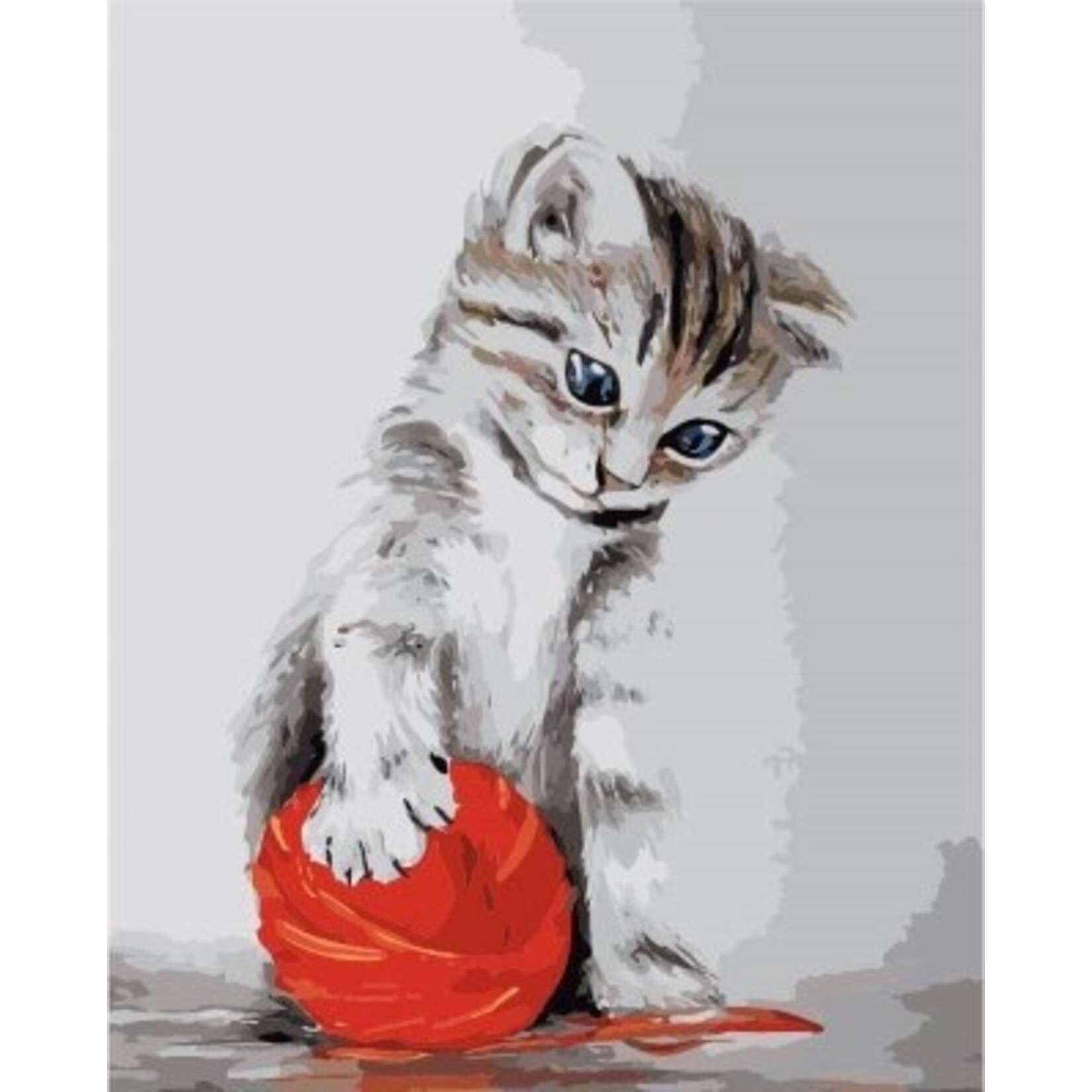 ITZ schilderen op nummer Kitten with a red Clew (40x50 cm)