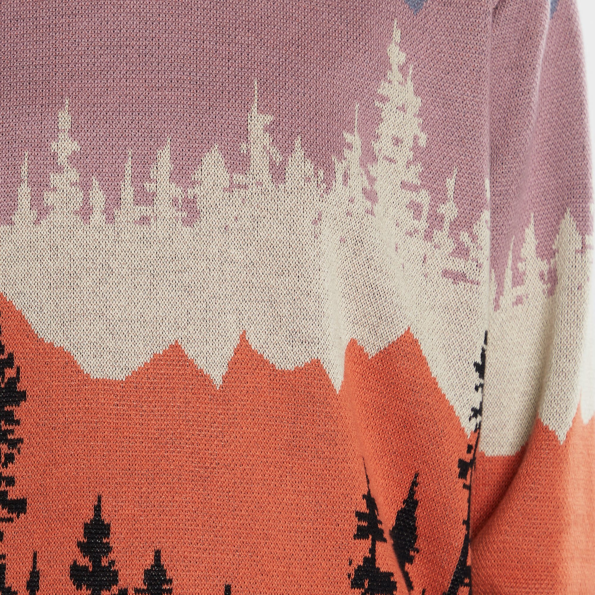 Dedicated Dedicated, Sweater Arendal Landscape, multi color, L