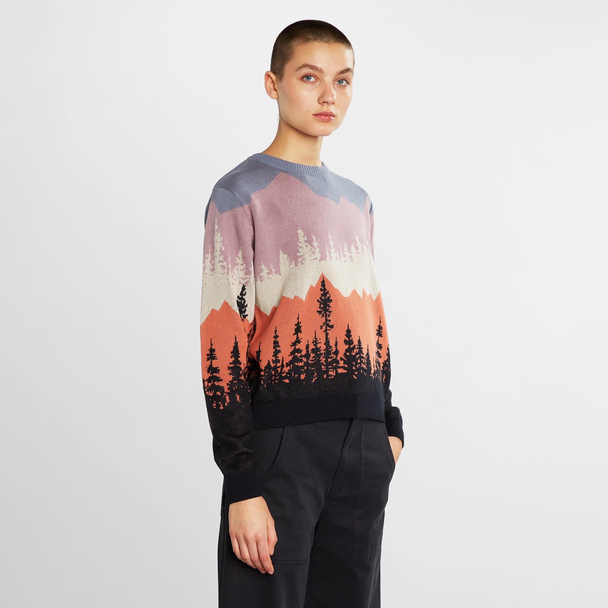 Dedicated Dedicated, Sweater Arendal Landscape, multi color, L