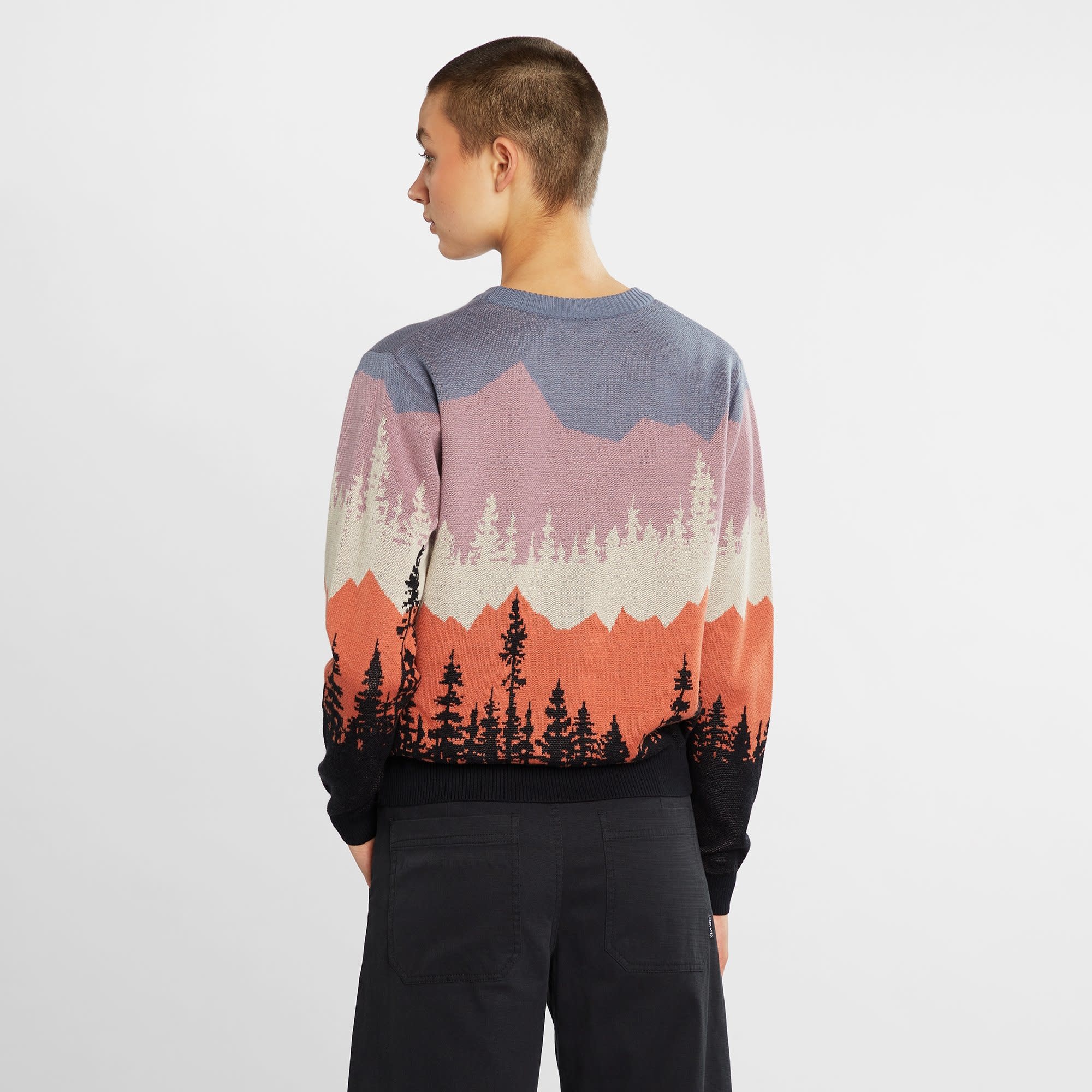 Dedicated Dedicated, Sweater Arendal Landscape, multi color, L