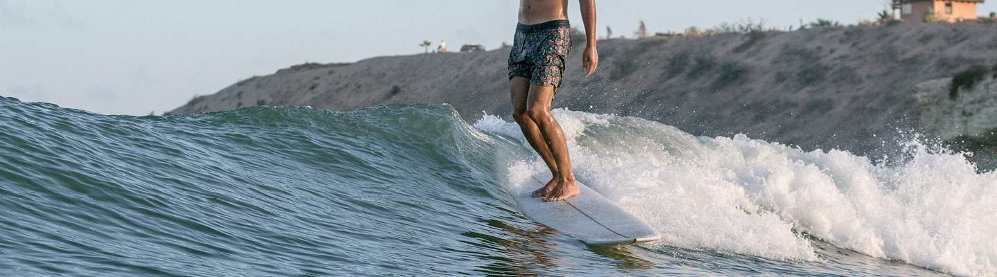 Vissla boardshorts