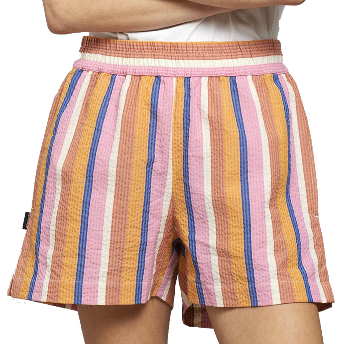 Dedicated Dedicated, Shorts Aspudden Stripe, multi, XS