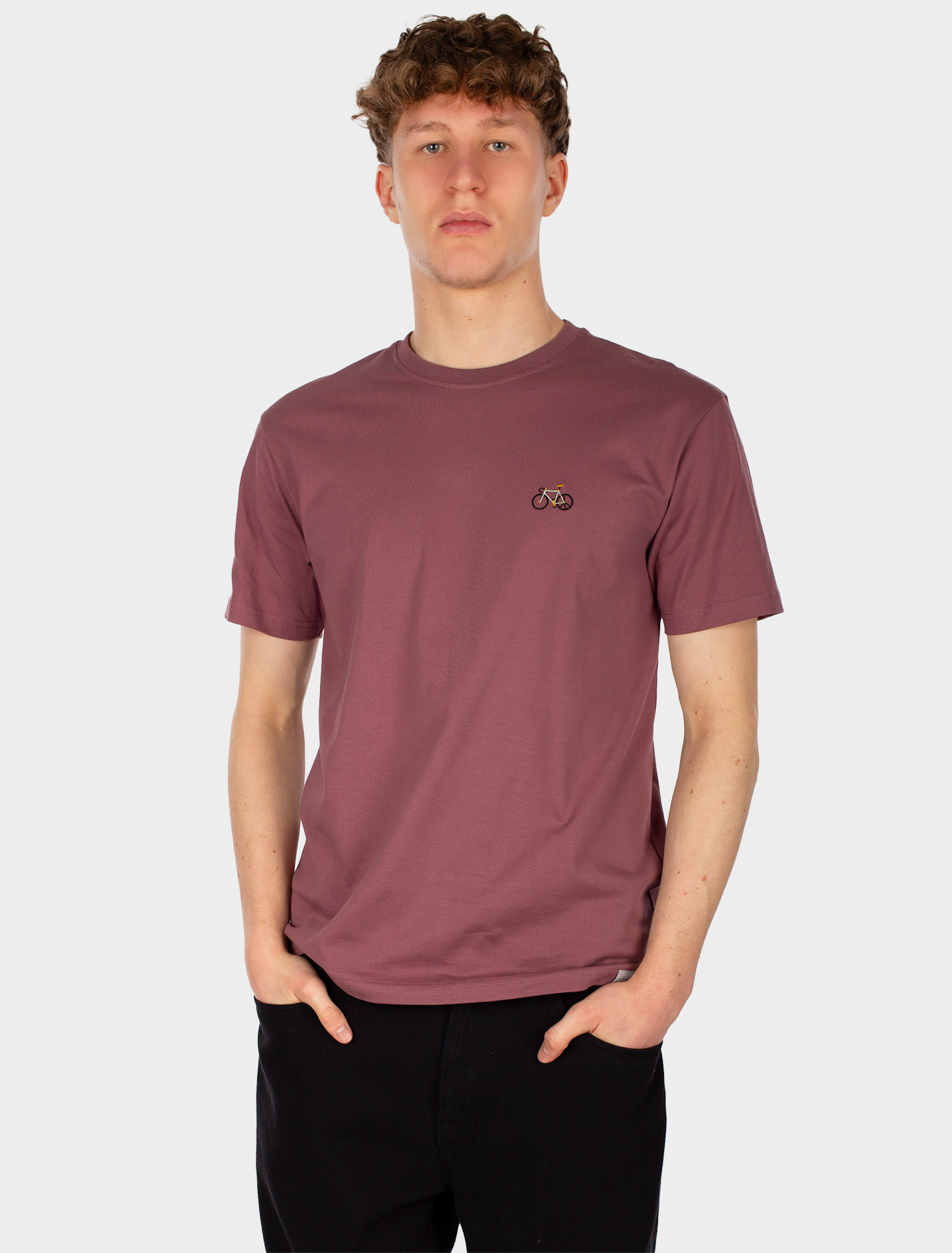 Iriedaily Iriedaily, Peaceride Emb Tee, plum, XL