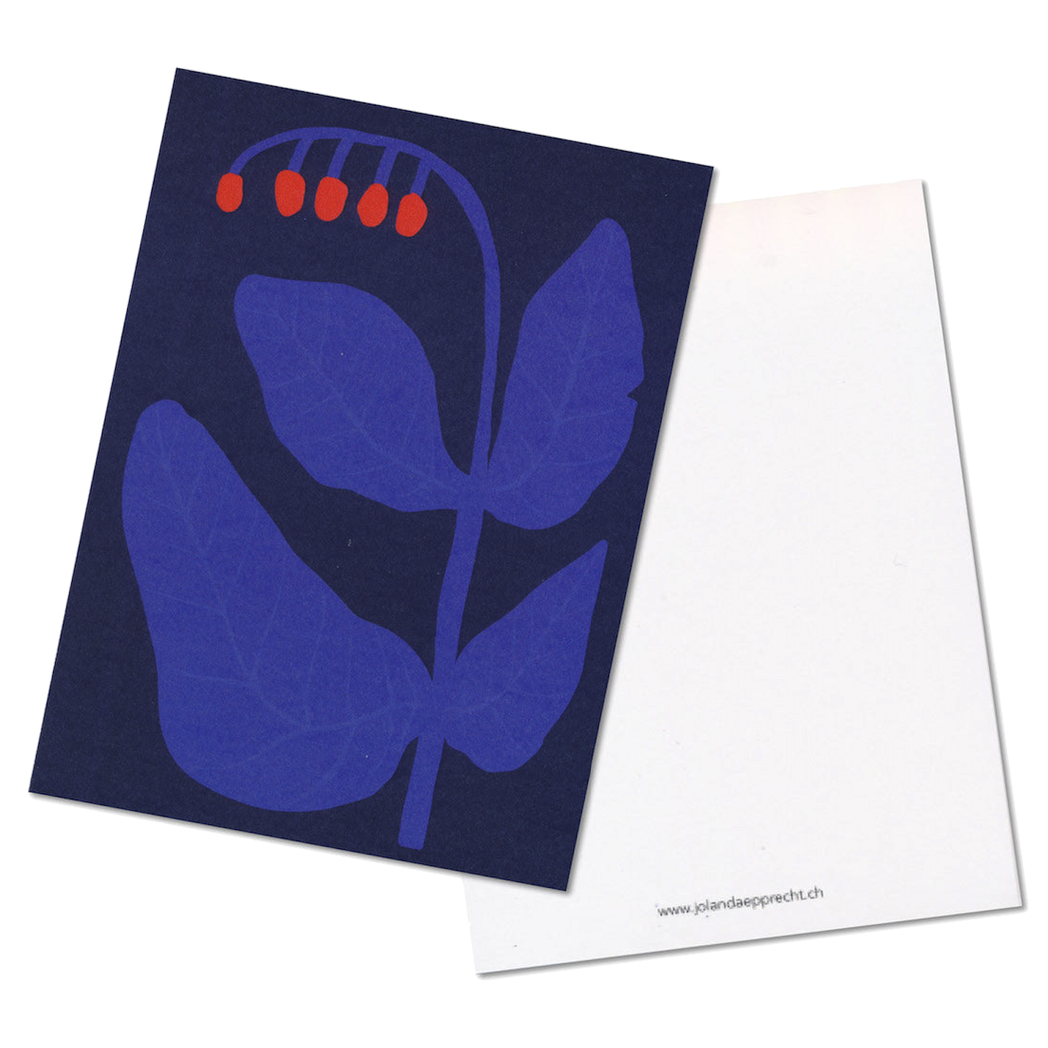 Jolanda Epprecht, Postkarte, "Blume VII"